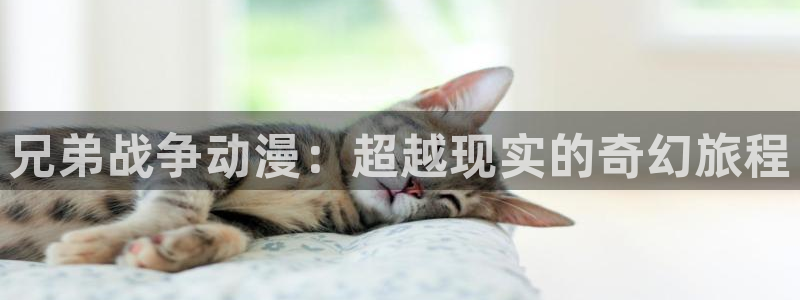 omofun动漫官网入口安卓